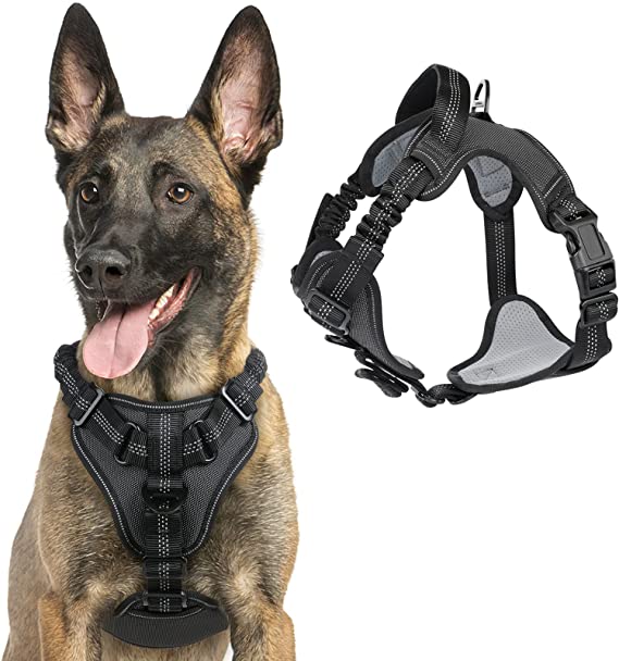 rabbitgoo Dog Harness, No Pull Dog Walking Harness with Shock-Absorbing Bungee Straps & 2 Leash Clips, Adjustable Padded Dog Vest Harness Reflective Chest Harness with Handle for Large Dogs, Black