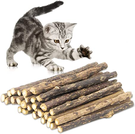 QUTOP 24 Pcs Matatabi Cat Sticks, Natural Silvervine Sticks for Cats Make The Cat Healthy, Catnip Sticks for Cats Kitten Kitty Teething Chew Toy, Cat Chew Stick Relieve Stress