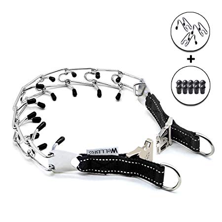 Wellbro Dog Prong Training Collar, Plated Metal Gear Pinch Collar with Quick Release Buckle, Detachable and Adjustable, Including 3 Extra Prongs and 10 Rubber Caps, Easy-On/Off (4.0 mm/24 inch)