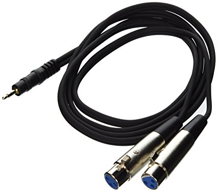 Pyle-Pro PCBL38FT6 6 Ft 12 Gauge 3.5mm Male To Dual XLR Female Cable