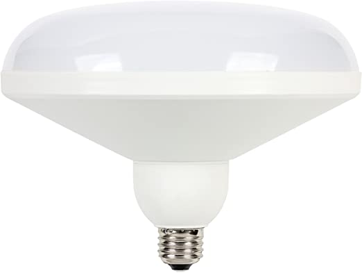 Westinghouse Lighting 0319800 DLR64 Utility LED Light Bulb with Medium Base, 20W, Warm White