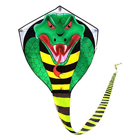 Mint's Colorful Life Large cobra kite with long tail for kids and adults, kite line and handle included, it will dominate the sky!