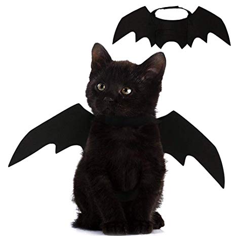 VANVENE Pet Cat Bat Wings for Halloween Party, Cat Collar Leads Cosplay Bat Costume,Cute Cat Dress up Accessories