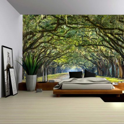 Wall26® - Long Pathway in an Arch Tree Covered Forest - Wall Mural, Removable Sticker, Home Decor - 100x144 inches