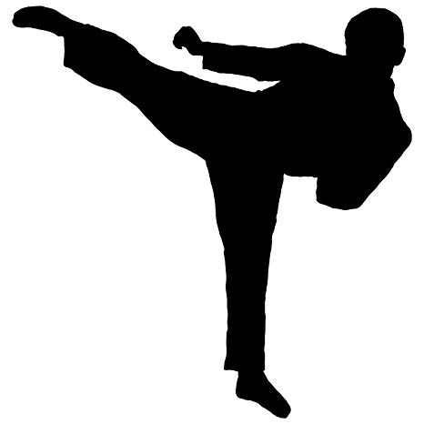 Martial Arts Wall Decal Sticker 15 - Decal Stickers and Mural for Kids Boys Girls Room and Bedroom. Karate Sport Wall Art for Home Decor and Decoration - Martial Art Kung Fu Taekwondo Silhouette Mural