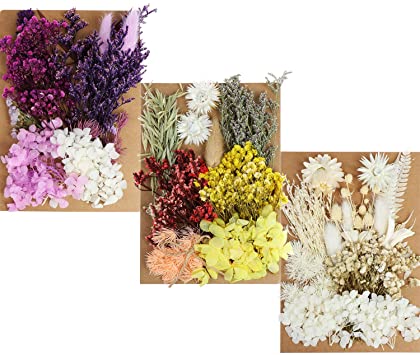 3 Sets Natural Dried Flowers Leaves Mixed Natural Dry Flowers Multiple Natural Pressed Flowers for Scrapbooking DIY Candle Resin Jewelry Pendant Crafts