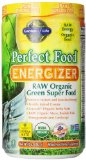 Garden of Life Perfect Food RAW - Energizer Raw Organic  Green Super Food Powder 282g Powder