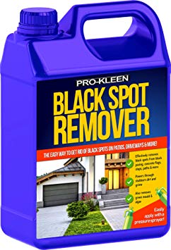 Pro-Kleen Powerful Black Spot Remover (5L) - Removes Black Spots, Green Mould, Algae & Lichen - Powerful, Easy to Use Fluid / Liquid Cleaning Solution - Powers Through Stubborn Dirt & Grime - Use on Patios, Natural Stone, Indian Sandstone, Driveways, Block Paving, Concrete Flags and more