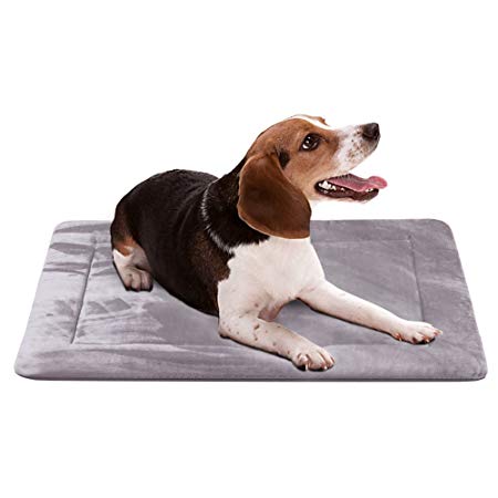 JoicyCo Dog Bed Large Mat Crate Pad Soft 28/35/42/47 in- 100% Machine Washable Anti-Slip Fleece Mattress Luxury Rich Color