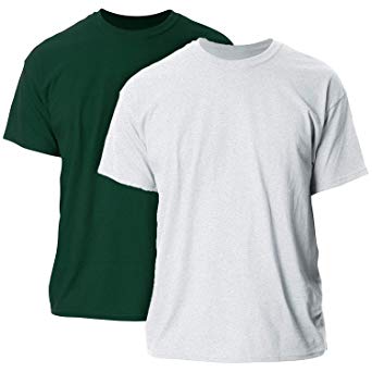 Gildan Men's Ultra Cotton Adult T-Shirt, 2-Pack