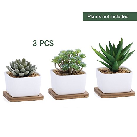 3.8 Inch White Ceramic Contemporary Square Design Succulent Plant Pot/ Cactus Plant Pot With Bamboo Tray - Pack of 3