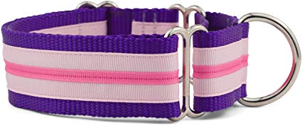 If It Barks - 1.5" Martingale Collar for Dogs - Stripe Design - Adjustable - Strong and Comfy Nylon - Ideal for Training - Made in USA