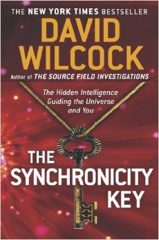 The Synchronicity Key The Hidden Intelligence Guiding the Universe and You