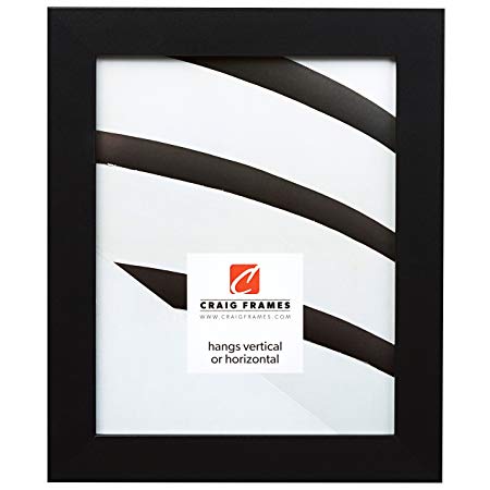 Craig Frames 26020 20 by 26-Inch Picture Frame, Smooth Wrap Finish, 1.26-Inch Wide, Black