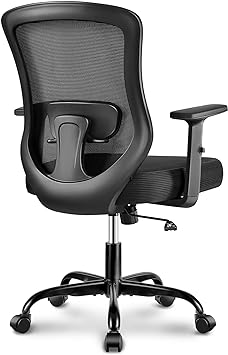 Winrise Office Chair, Ergonomic Home Office Desk Chairs, Breathable Mesh Mid-Back Comfortable Work Chair Adjustable 2D Armrests, Rocking Executive Chair, Swivel Task Chair with Lumbar Support (Black)