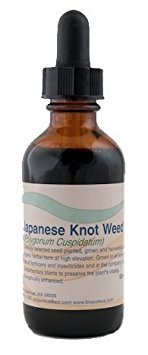 Biopure Japanese Knot Weed (Organic) - 2 Fluid Oz.