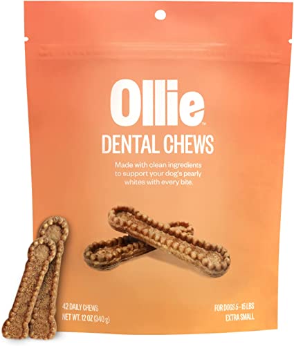 Clean 42 dental store treats