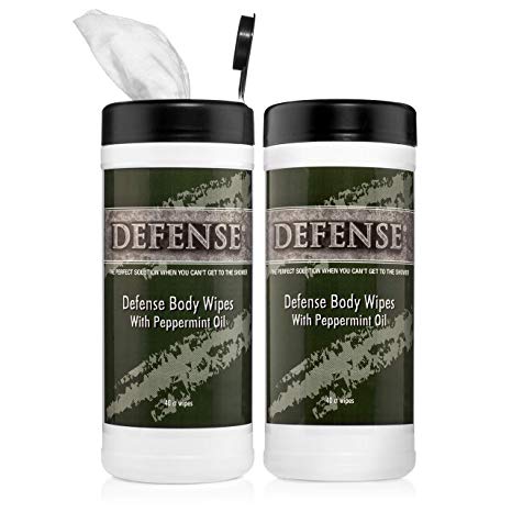 Defense Soap Peppermint Body Wipes 40 Count (Pack of 2)