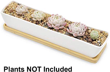 Boloniprod Plant Window Boxes 11.1 inch Long Rectangle White Ceramic Succulent Planter Pots/Mini Flower Plant Containers with Bamboo Saucers Plant Window Boxes