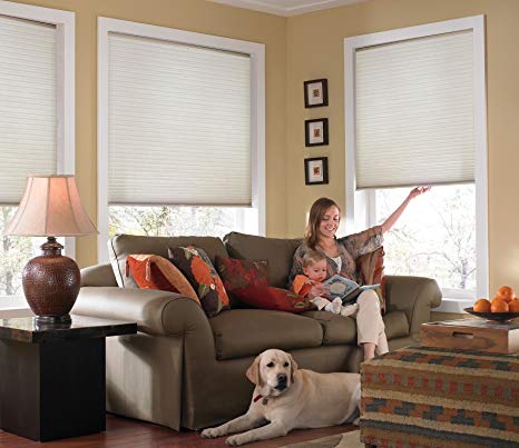 Windowsandgarden Custom Cordless Single Cell Shades, 24W x 37H, Cool White, Any Size from 21" to 72" Wide and 24" to 72" high Available