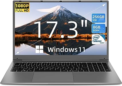 SGIN 17 Inch Laptop, 8GB RAM 256GB SSD Windows 11 Laptops with IPS Full HD, Intel Celeron Quad Core J4105, Mini HDMI, Webcam, Dual Wi-Fi, Buletooth 4.2, 2xUSB 3.0, Expandable Storage 512GB TF(Gray)