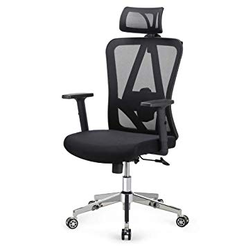 Yaheetech Swivel High-Back Ergonomic/Executive/Mesh Office Chair with Lumbar Support and Adjustable Arms/Headrest on Casters Wheels Black