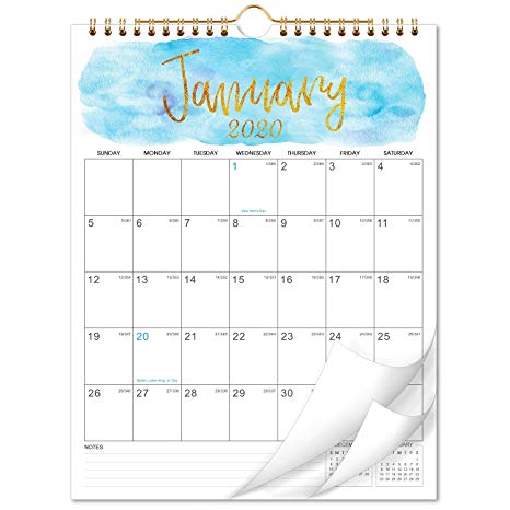 2020-2021 Calendar - 18 Monthly Wall Calendar, 8.5" x 11", Jan. 2020 - Jun. 2021, Two-Wire Binding, Large Blocks with Julian Dates Perfect for Planning and Organizing for Home or Office