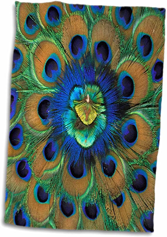 3D Rose Natural Peacock Feather Patterns-As10 Dfr0096-David R. Frazier Hand/Sports Towel, 15 x 22