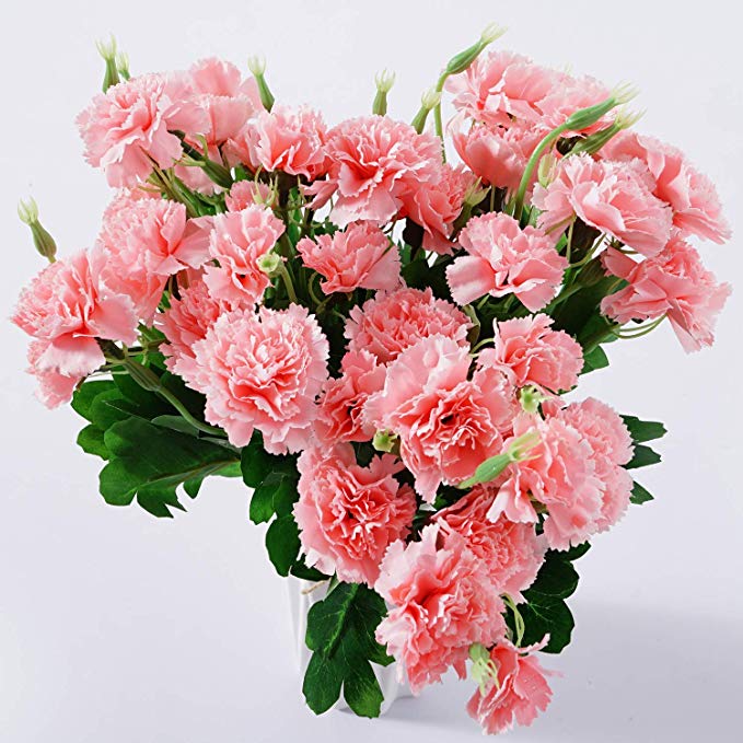 BEFINR Artificial Carnation Dark Pink Silk Petals Fake Flowers Forever Plants for Gifts Home Party Wedding Office Garden Art Decoration 4PCS