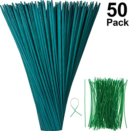 Green Wood Plant Stake Floral Plant Support Wooden Bamboo Stake Natural Craft Picks with 100 Pieces 15 cm Long Green Metallic Twist Ties (35 cm, 50 Pieces)