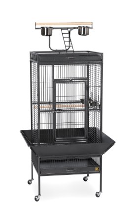 Prevue Pet Products Select Wrought Iron Parrot Cage 3152