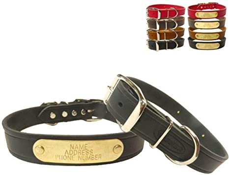 Warner Cumberland Leather Dog Collar Free Engraved Brass ID tag USA