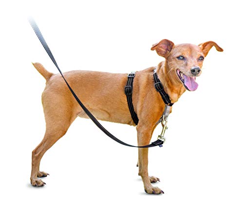 PetSafe 3in1 Harness, from the Makers of the Easy Walk Harness