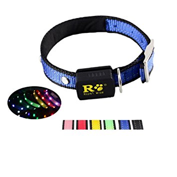 Royal Wise Led Illumination Nylon Dog Collar With Buckle Night Safety Pet Collar