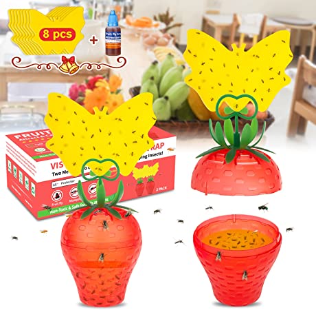 Fruit Fly Trap with Bait 2 Pack,Effective Fly Catcher with Yellow Stickers for Indoors,Fly Gnats Killer Safe Gnat Trap Non-Toxic Fly Trap Odorless Fly Insects Trap for Home,Kitchen,Plant