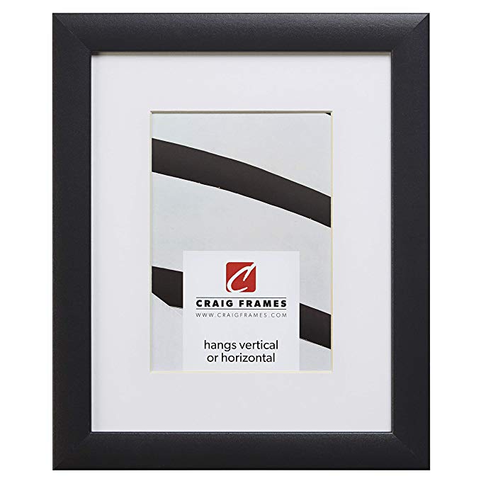 Craig Frames 1WB3BK 22 x 28 Inch Black Picture Frame Matted to Display an 18 x 24 Inch Photo