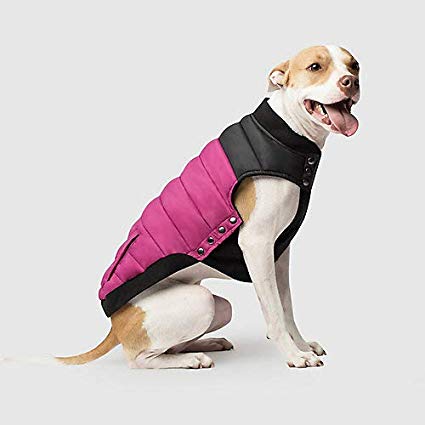 Canada Pooch | Summit Stretch Dog Vest | Water-Resistant Dog Puffer Vest