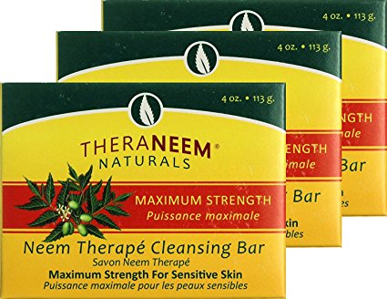 Organix South Maximum Strength Neem Soap Bar 4 oz - Three (3) bars