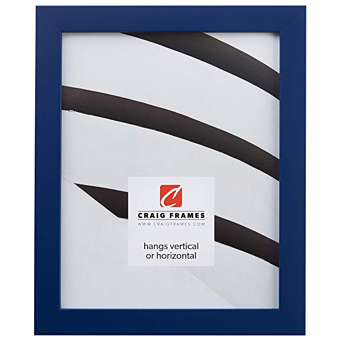 Craig Frames 140640 14 x 18-Inch Picture Frame, Solid Wood, Smooth Finish .875-Inch Wide, Blue