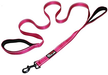 Primal Pet Gear Dog Leash 6ft Long with Traffic Padded Handle, Heavy Duty, Double Handle Lead for Greater Control Safety Training, Perfect for Large or Medium Dog, Dual Handles