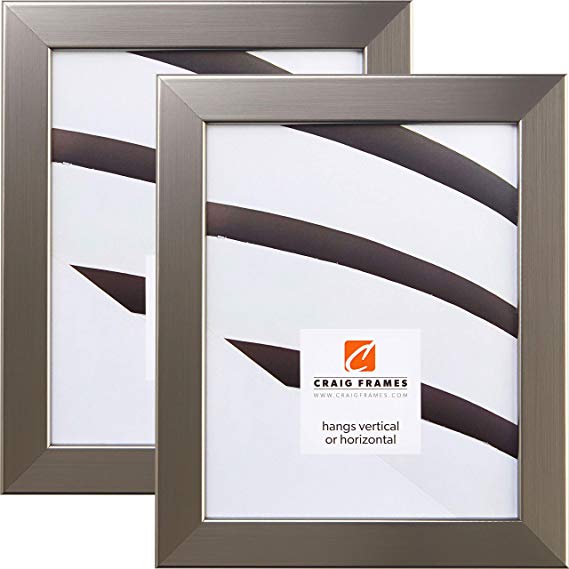 Craig Frames 26966 17 x 22 Inch Picture Frame, Stainless Silver, Set of 2