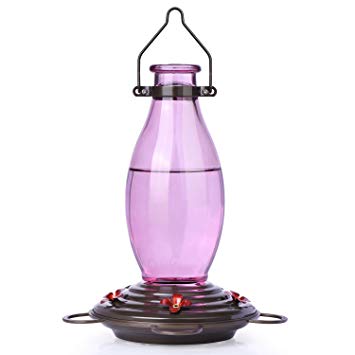 BOLITE 18001-R Hummingbird Feeder Glass Wild Bird Feeders, Retro Edison Bulb Bottle, 25 Ounces, Red Violet