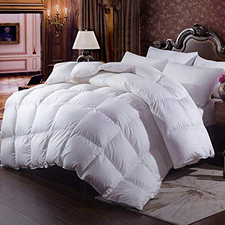 Zingsleep Goose Down Alternative Comforter （King 106 x 90 Inch）,Ultra Soft Brushed Microfiber， Quilt with Corner Tab for All Season Hypoallergenic Plush Mircofiber Comforter Duvet Insert (King)