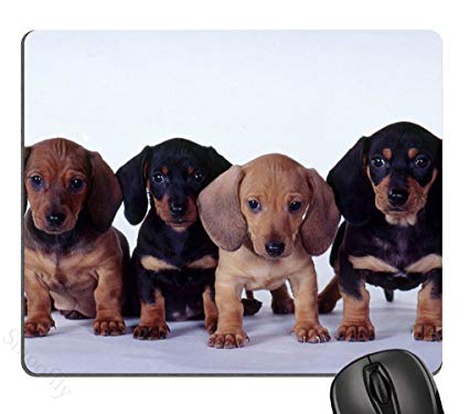 Dachshund Puppies Mouse Pad, Mousepad (Dogs Mouse Pad)