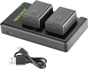 Neewer VW-VBT190 Batterie (Lot de 2/1950mAh) avec Chargeur Double USB Compatible avec Panasonic HC-V110 V130 V160 V180 HC-V201 V210 V250 HC-V380 HC-V510 V520 V550 HC-V710 V720 V750 V770 HC-VX870