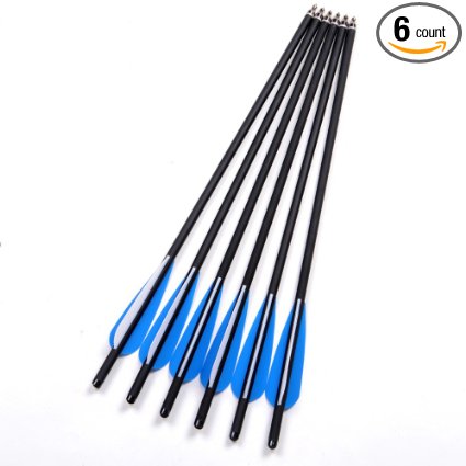 20" Crossbow Bolts Carbon Arrows 8mm Shaft Half Moon Nocks with Replaceable Screw-in Broadhead for Crossbow Hunting Target Practice Outdoor Gift, 6Pcs
