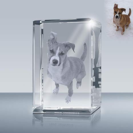 Laser Engrave Photo Crystal Rectangle A00202, Custom Crystal Cube, Picture in Glass Gift Made by Goodcount