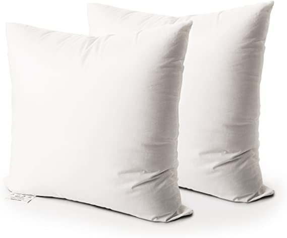 Edow Throw Pillow Insert, Set of 2 Hypoallergenic Down Alternative Polyester Square Form Decorative Pillow, Cushion,Sham Stuffer. (White, 18x18)