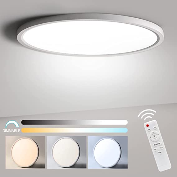 12 Inch 24W Dimmable LED Flush Mount Ceiling Light Fixture with Remote Control, 2800K/4000K/6500K 10%-100% Brightness Adjustable, Flat Modern Round Ceiling Lights for Closets, Bedrooms.etc.