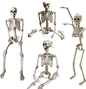 27.6" Posable Halloween Skeleton Decorations,Halloween Decor Outdoor Full Body Joints Plastic Skeleton with Movable/Posable Joints for Halloween Haunted House Props Decorations Outdoor